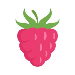 Poster - sweet raspberry icon flat isolated vector