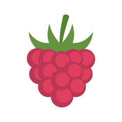 Poster - fruit raspberry icon flat isolated vector