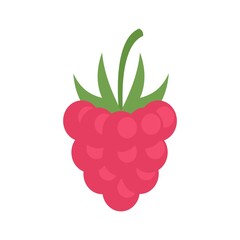 Poster - natural raspberry icon flat isolated vector