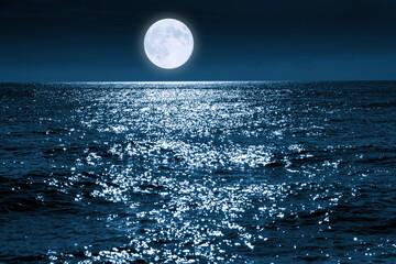 Wall Mural - this large full blue moon rises brightly over the calm ocean creating sparkles across the waves