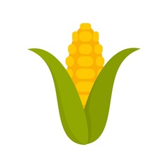 Poster - Corn plant icon flat isolated vector