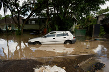Small Car Floating In A Flooded Street, 2011 Brisbane Floods