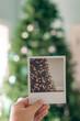 © Austockphoto - polaroid image of xmas tree, in front of a xmas tree