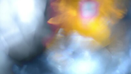 Wall Mural - This stock footage shows organic lens flare.