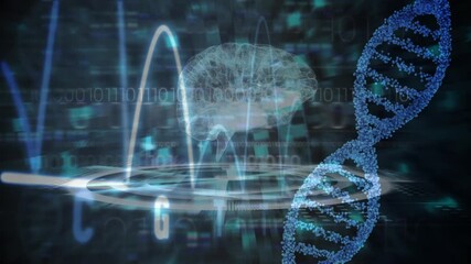 Animation of binary coding, human brain, dna strand spinning and data processing