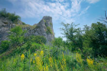 Rocks of Pálava Hills in South Moravia with trees and flowers