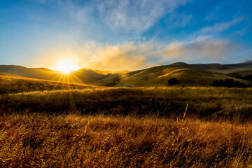 Wall Mural - Sunrise, sunset, wheat, grass, golden, sunstar, sunburst