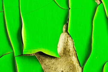 Poster - wall with green paint. background for design. grunge texture