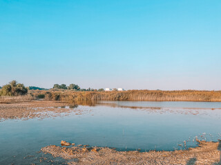 Wall Mural - Dessert wild plants and nature | Spectacular Landscape View at Al Wathba Wetland Reserve in Abu Dhabi, UAE | coastal salt flat (sabkha) lakes