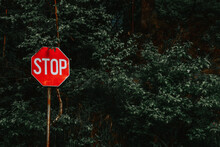 STOP Road Sign In Front Of Trees