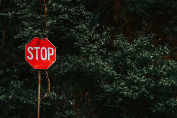 STOP road sign in front of trees