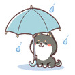黒柴犬と傘