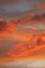 Canvas Print - sky at sunset. clouds of orange. nature illuminated by the setting sun