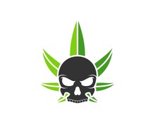 Green Cannabis Leaf With Skull Head Inside