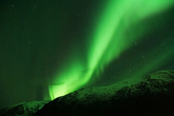 Sticker - Northern lights in Tromso, Norway