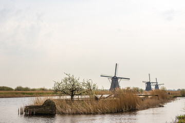 Sticker - Beautiful view of the water, fields and the windmills on a gloomy day