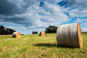 Wall Mural - bales of hay