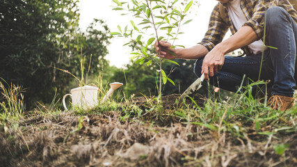 young man gardener, planting tree in garden, gardening and watering plants