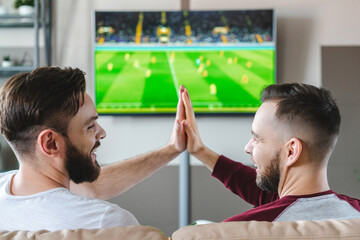 two bearded men giving high five to each other while watching soccer play live broadcast on tv