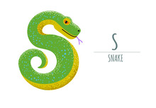 Cute Green Snake In The Shape Of The Letter - S. Children's Alphabet. Poster, Postcard.