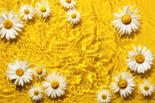 Chamomile Frame In Yellow Water Background With Concentric Circles And Ripples. Natural Beauty Spa Concept, Copy Space