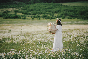 Wall Mural - Young woman wearing white dress holding straw basket with flowers on chamomile field.