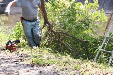 Wall Mural - Environmental arrangement. A scene of logging work on the riverbed of a stream.