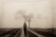 A ghostly blurred figure on a country path in winter. With a grunge, sepia old photo edit.
