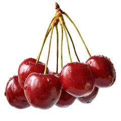 Wall Mural - Heap sweet cherry close up isolated