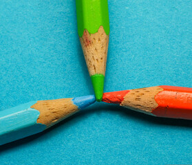 Poster - Tree colored pencils in macro