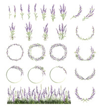 Large Set Of Lavender Sprigs, Wreaths And Frames. Lavender Field.