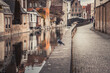 © Annie Hall/Westend61 - Belgium, West Flanders, Bruges, Pigeon standing at edge of city canal