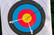 © Julio Rodriguez/Westend61 - Arrows in bull's eye on sports target