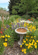 beautiful yard garden with colorful flowers and a bird bath