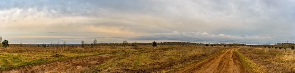 Wall Mural - Panorama of a dirt road passing through the field. In the background there is a forest and an overcast sky in clouds with pastel shades