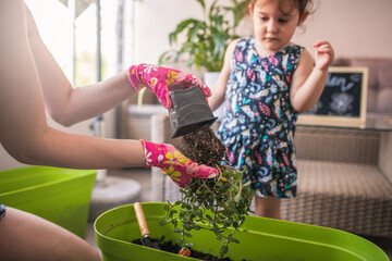 Mom and daughter decorate the terrace with flowers.