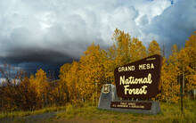 Autumn At Grand Mesa National Forest