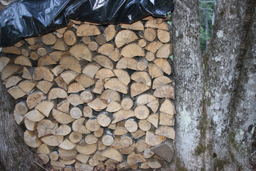 Sticker - Pile of cut firewood with a black polyethylene cover next to trees