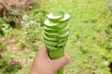 Sticker - Hand holding sliced ripe green cucumber with mint