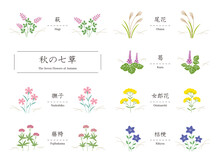 秋の七草（萩、尾花、葛、撫子、女郎花、藤袴、桔梗）のシンプルなイラスト