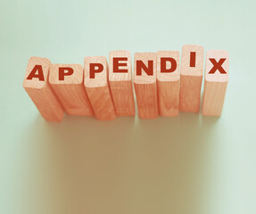 appendix word written on wood block. appendix text on table, concept