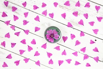 Herbal tea from fresh flowers of  Wild mallow, lat.  Malva sylvestris, flat lay, white wooden table.