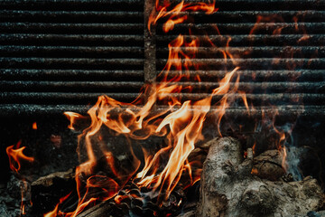 Poster - Closeup shot of background of burning wood logs