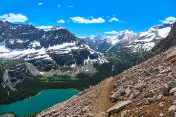 Wall Mural - 
Woman hiking above turquoise alpine lake. Lake O'Hara in Yoho National Park. British Columbia. Canada