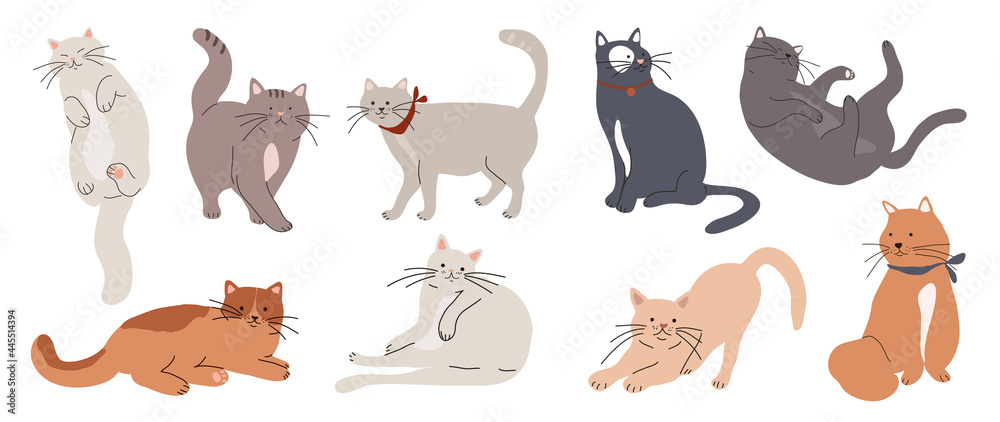 Cute and funny cats doodle vector set. Cartoon cat or kitten characters design collection with flat color in different poses. Set of purebred pet animals isolated on white background. - obrazy, fototapety, plakaty 