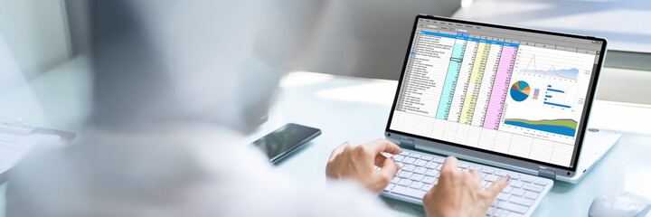 Poster - Woman Working With Electronic Spreadsheet Reports
