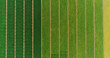 Aerial flying over fields with straw bales at harvesting time. Soybean, sunflowers and maize or corn.