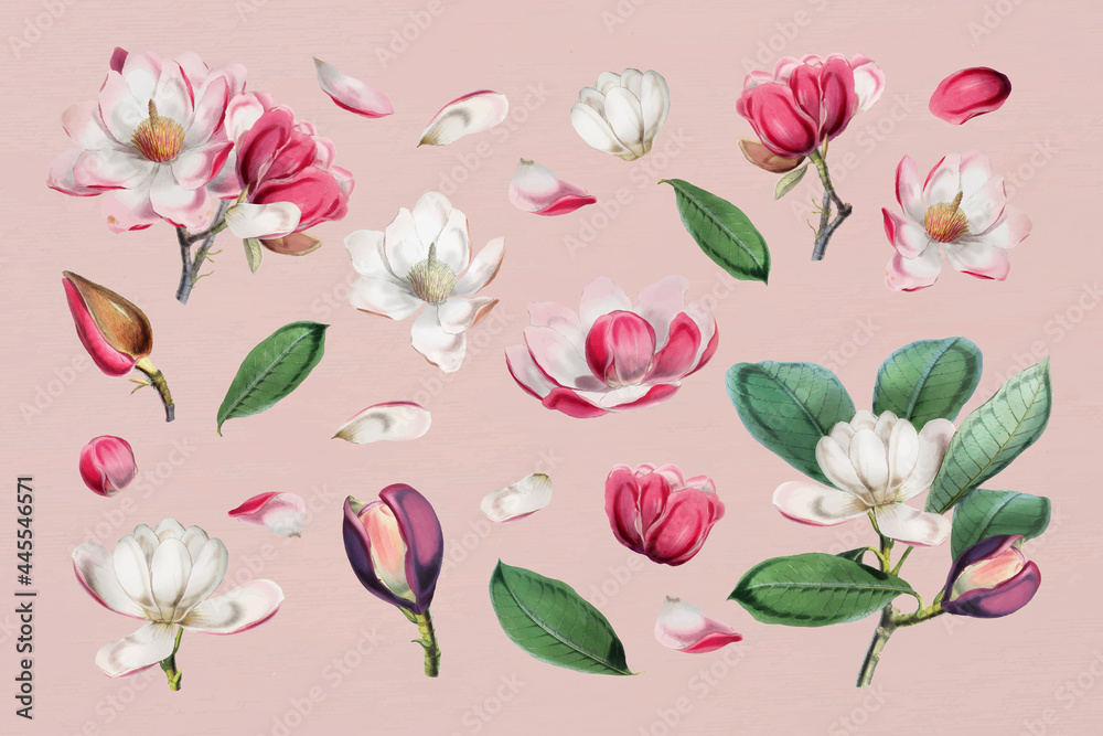 Elegant floral design collection vector - obrazy, fototapety, plakaty 