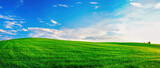 Fototapeta Kuchnia - Panoramic natural landscape with green grass field and blue sky with clouds with curved horizon line. Panorama summer spring meadow.
