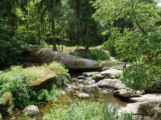 Sticker - Beautiful view of a river surrounded by fresh greenery in the forest